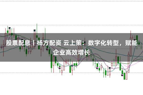 股票配息丨杨方配资 云上策：数字化转型，赋能企业高效增长
