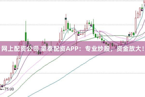 网上配资公司 豪泰配资APP：专业炒股，资金放大！