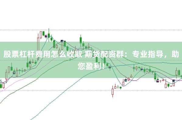 股票杠杆费用怎么收取 期货配资群：专业指导，助您盈利！