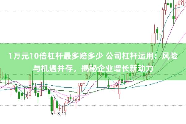 1万元10倍杠杆最多赔多少 公司杠杆运用：风险与机遇并存，揭秘企业增长新动力