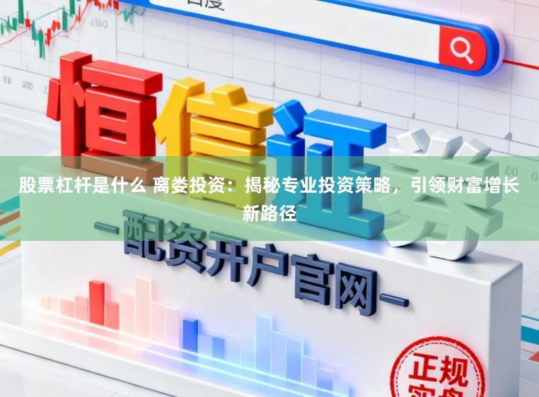 股票杠杆是什么 离娄投资：揭秘专业投资策略，引领财富增长新路径