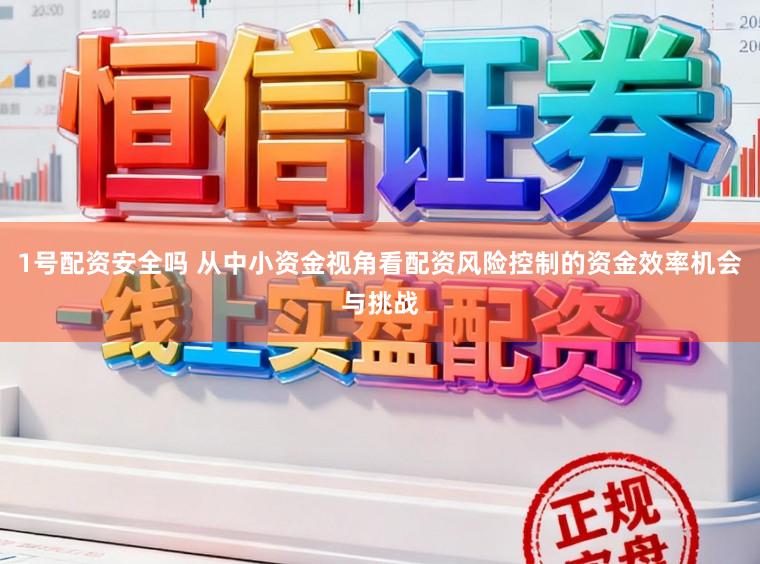 1号配资安全吗 从中小资金视角看配资风险控制的资金效率机会与挑战