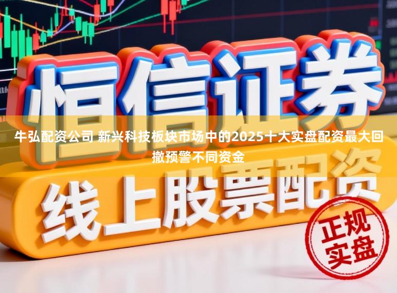 牛弘配资公司 新兴科技板块市场中的2025十大实盘配资最大回撤预警不同资金
